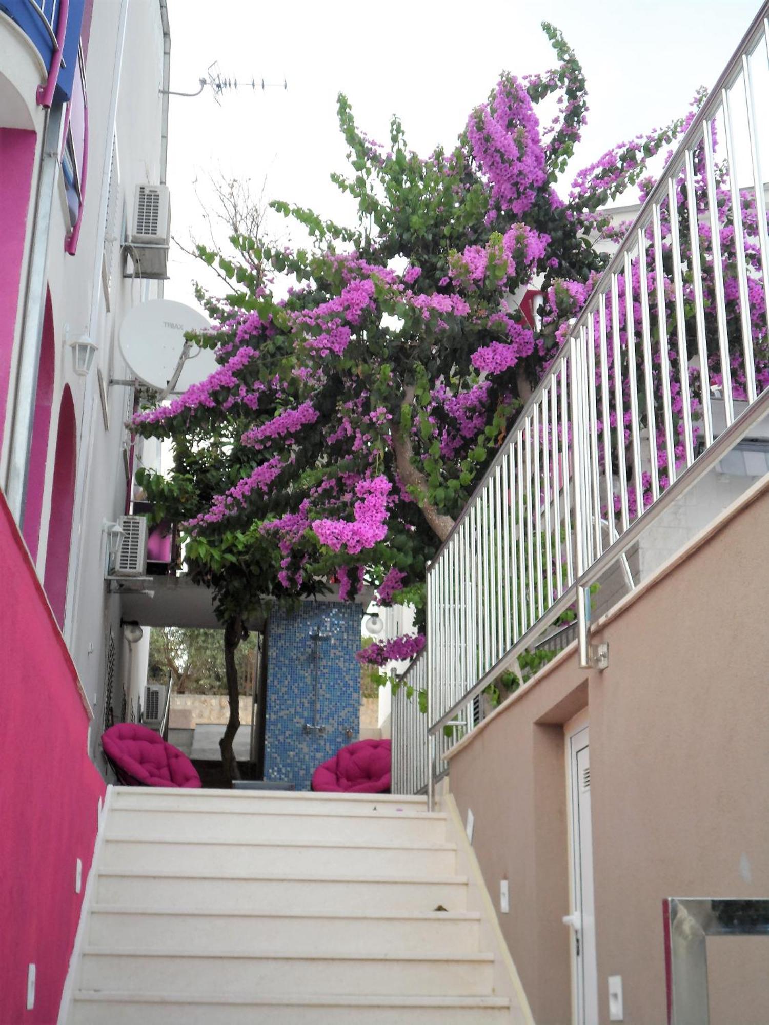 Villa Pinky And Superior Trogir 希杰·弗朗吉卡 外观 照片
