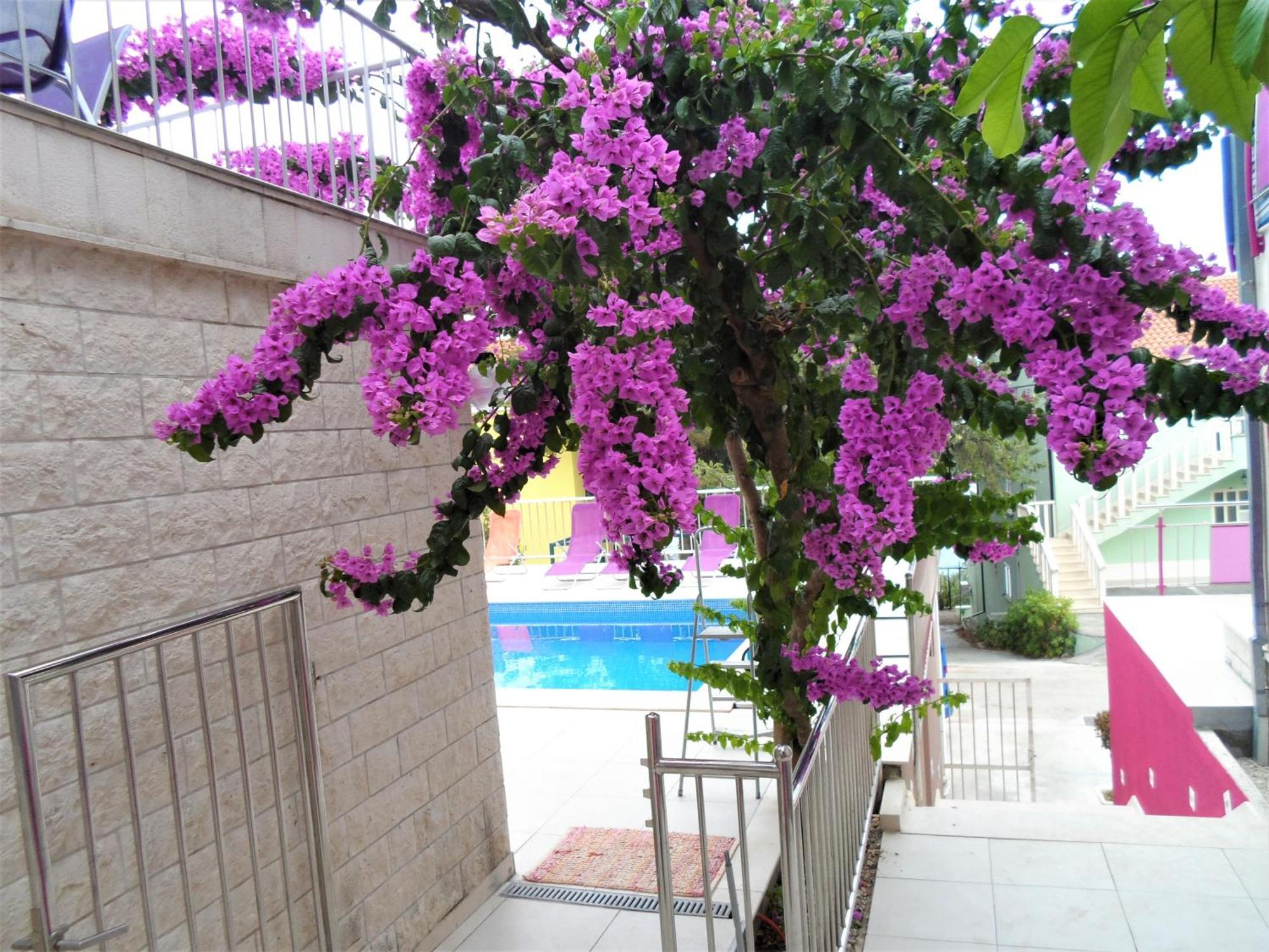 Villa Pinky And Superior Trogir 希杰·弗朗吉卡 外观 照片